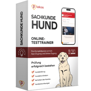 Begleithundeprüfung Fragen 2025 Online Testtrainer