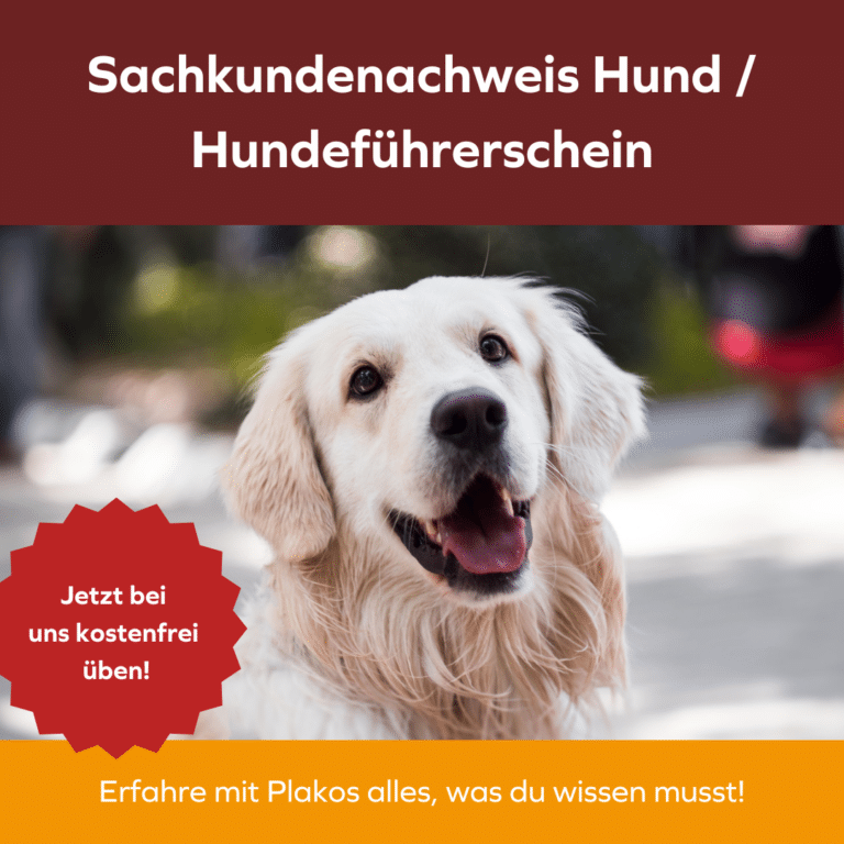 Sachkundenachweis Hund
